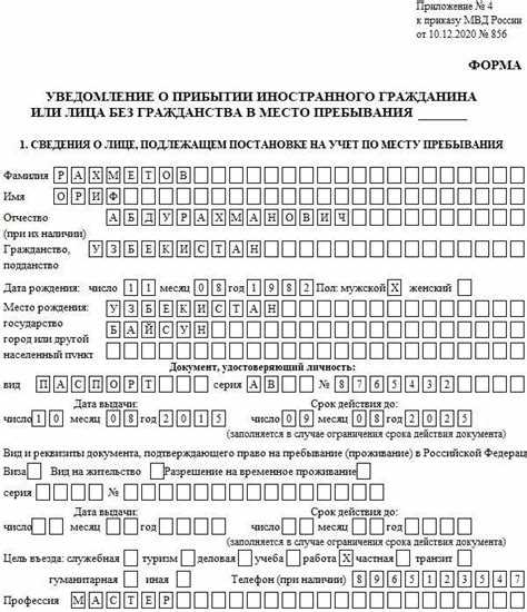 Обучение правилам предпринимательства для иностранцев в России