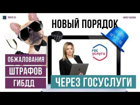 Квалифицированные консультации