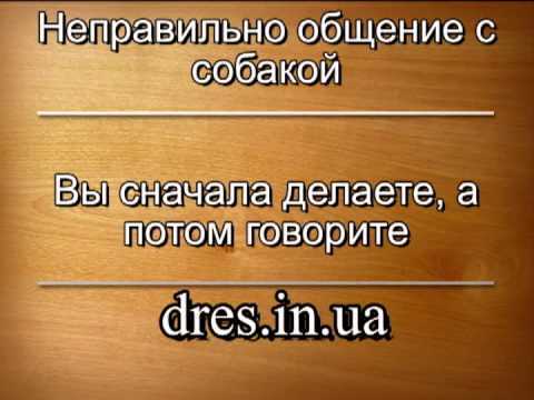 Ошибки начинающих: проверка электронной почты первым делом