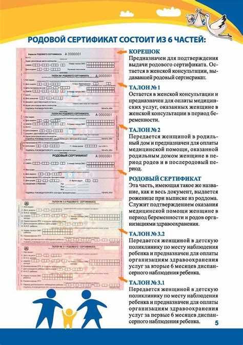 Какую информацию можно получить по родовому сертификату?