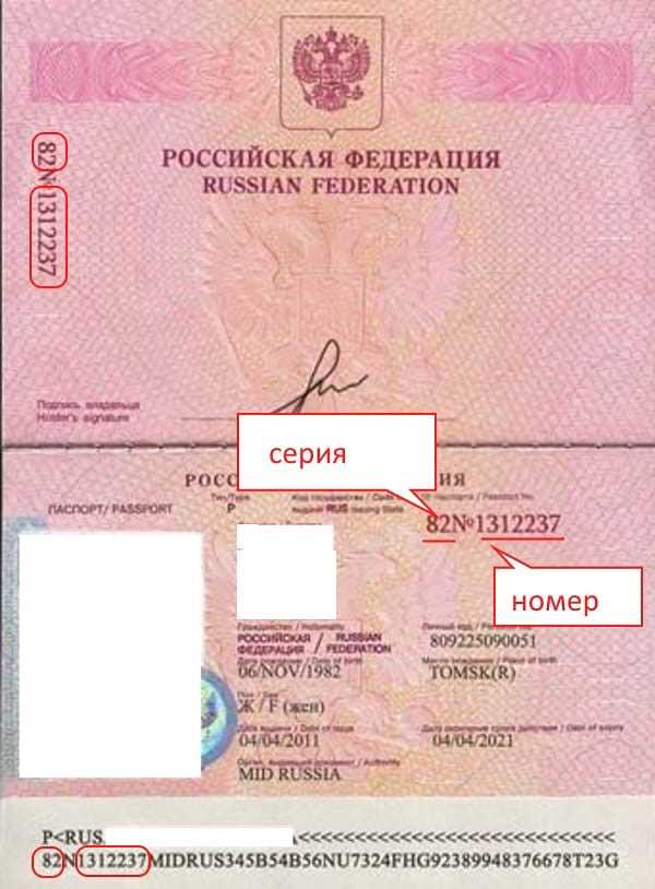 Серии и номера паспортов РФ: где и как найти данные и зачем это нужно?