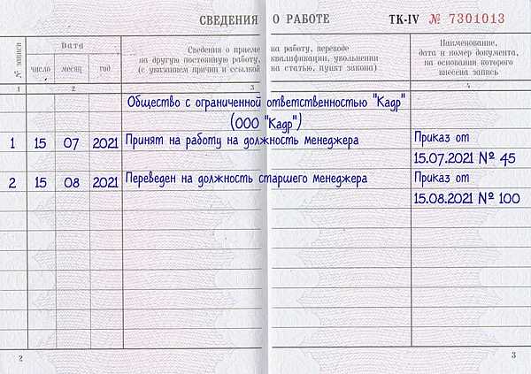 1. Проверьте информацию о соискателе